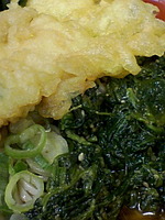 http://sibukichi.torebo-kichijoji.jp/image/090607_02497E01-thumbnail4.jpg